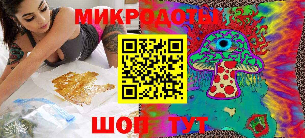 Псилоцибиновые грибы Psilocybe Кингисепп