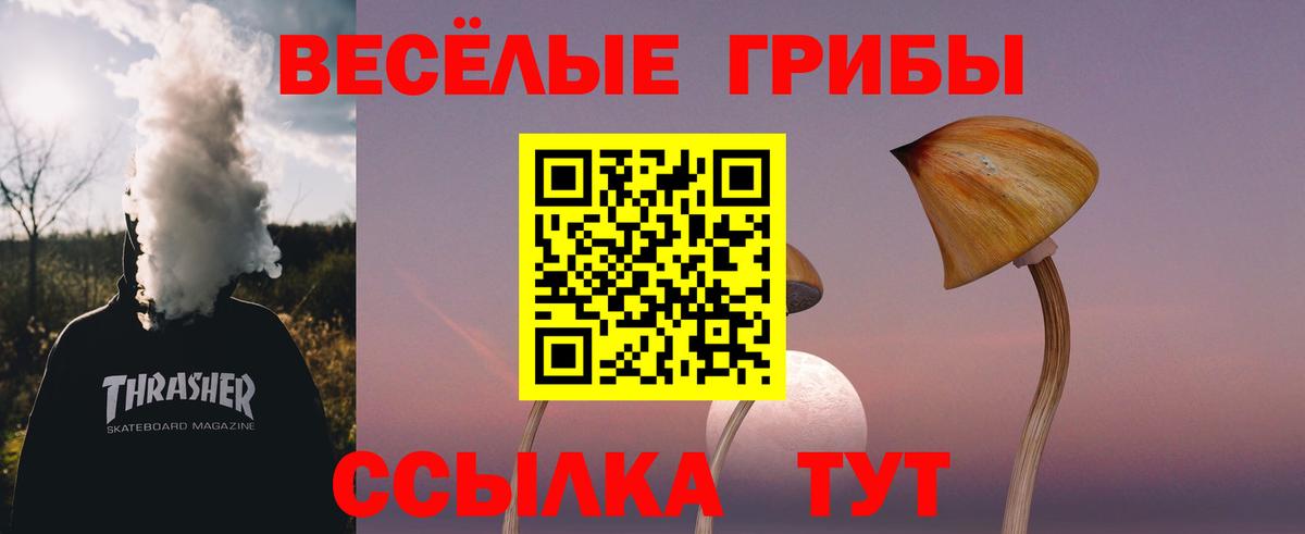 Кингисепп  Галлюциногенные грибы GOLDEN TEACHER  Псилоцибиновые грибы ЛСД  Вход с VPN 